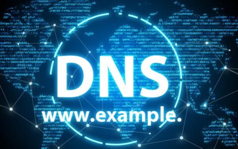 如何查看网站的DNS记录？新手必看详细步骤