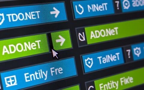 net连接数据库有哪些具体方法和步骤？