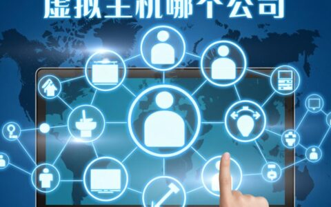 虚拟主机选哪家？新手避坑指南与性价比推荐