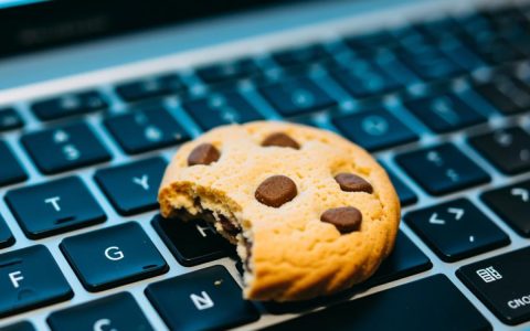 js如何从cookie数据库中提取数据？