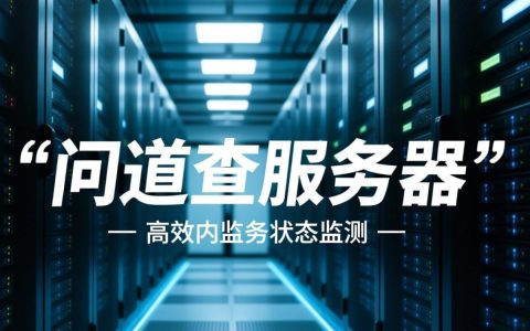问道查服务器怎么查？具体步骤和工具有哪些？