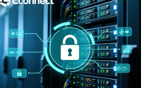 easyconnect服务器配置教程，新手怎么一步步设置？