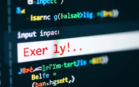input输入代码报错怎么办？解决方法有哪些？