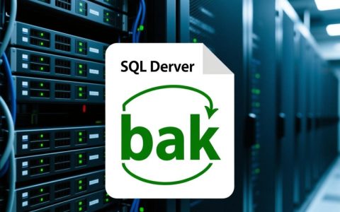 数据库如何保存成bak文件？详细步骤是什么？