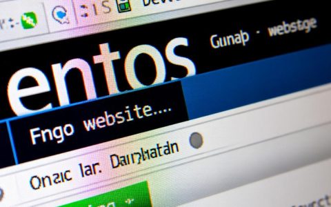 CentOS下访问网站失败怎么办？排查步骤有哪些？