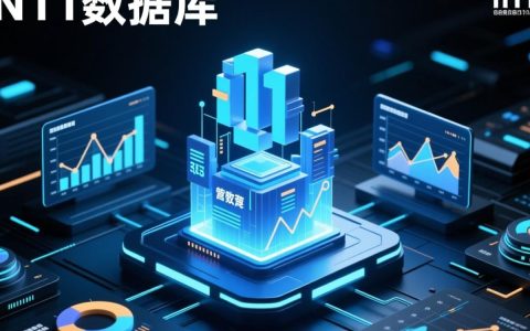n11数据库怎么用？新手入门指南与操作步骤详解