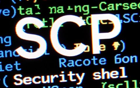 如何查看SCP服务器的详细配置与连接方法？