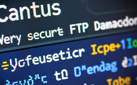 CentOS vsftpd上传文件失败怎么办？权限或配置问题排查