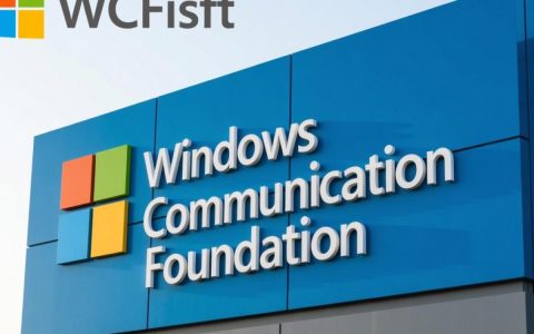 wcf通讯服务器如何实现跨平台高效数据传输与安全通信？