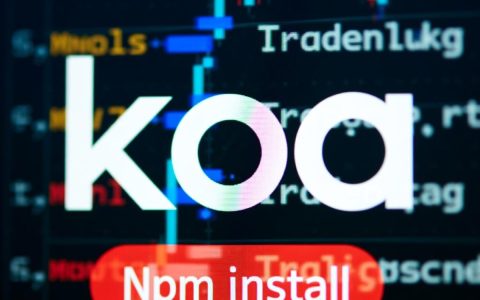 npm install koa报错怎么办？解决方法与步骤详解