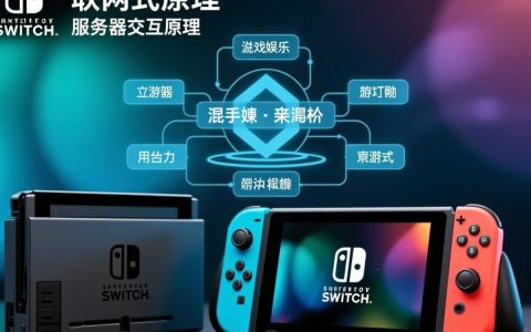 Switch联网服务器连接失败怎么办？