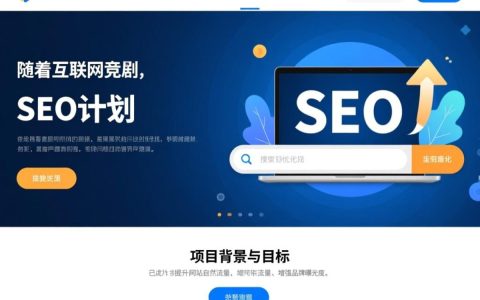 网站seo计划书怎么做？新手必看30字攻略