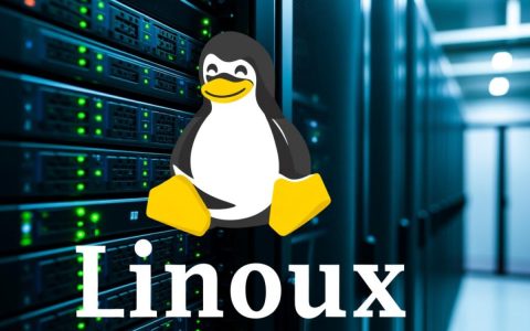 Linux服务器面板哪个好？新手怎么选？
