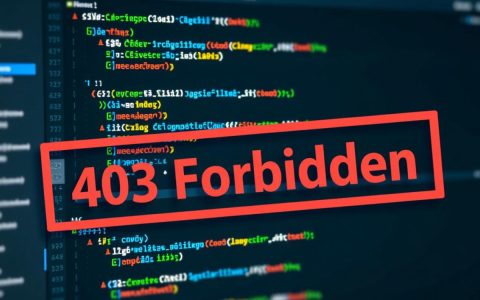 idea svn操作报错403，如何解决权限问题？