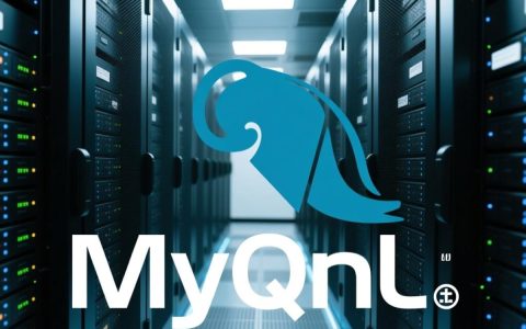 mysql怎么查看数据库？详细步骤与命令解析