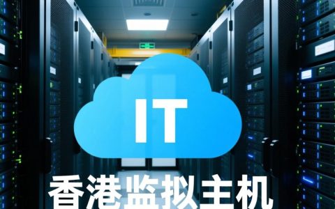 香港云服务器虚拟主机哪家性价比高？