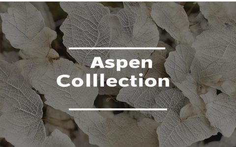 ASP中是否有集合或数组？如何定义、创建与使用它们？