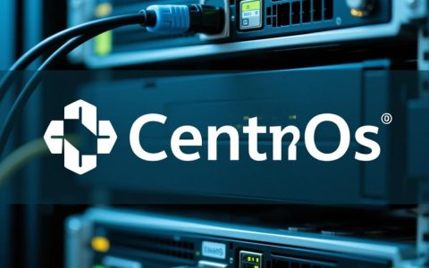 CentOS无法上网，DNS配置错误该如何排查解决？