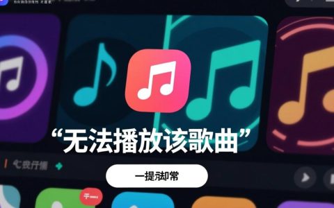 为什么我无法播放这首歌？解决方法有哪些？