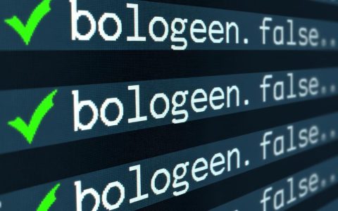 数据库中怎么存储boolean值最合适？