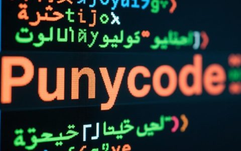 如何防范punycode服务器攻击保障域名安全？