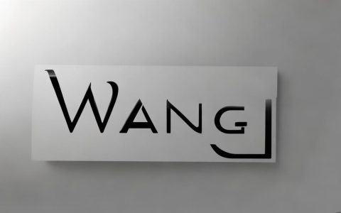 wang域名广告的独特卖点究竟是什么？