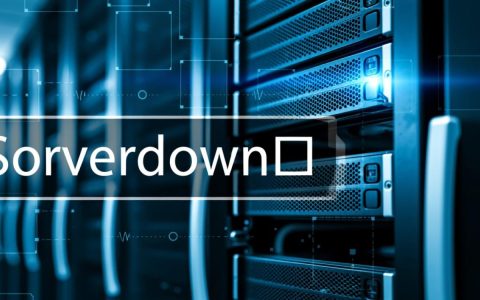 服务器down口是什么？怎么排查和解决？