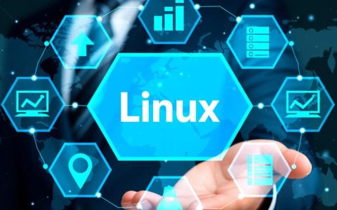 虚拟主机选什么系统？Windows还是Linux更合适？