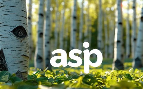 ASP截取字符串时如何避免乱码并控制长度？