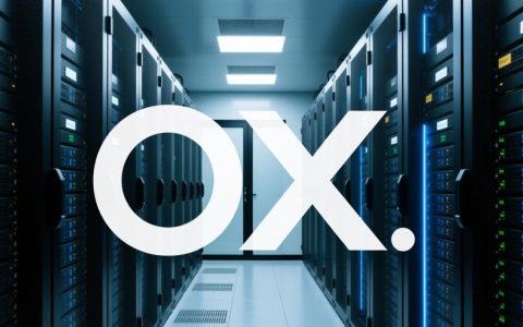 ox服务器失败怎么办？原因排查与解决方法详解