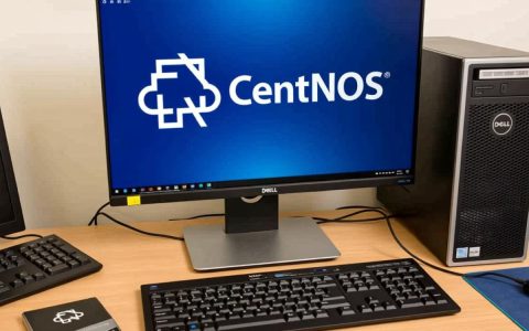 Dell安装CentOS系统详细步骤是怎样的？