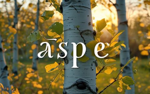 为何ASP技术逐渐被放弃？