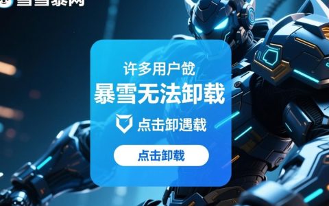 暴雪游戏无法卸载怎么办？解决方法有哪些？