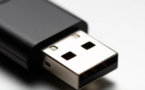 u盘显示无法格式化怎么办？解决方法有哪些？