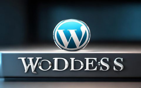 WordPress该域名如何使用？