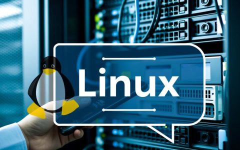 Linux服务器无法访问是什么原因导致的？