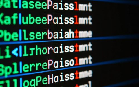 php怎么查看数据库名？命令行与代码方法详解