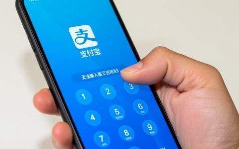 支付宝手机无法输入密码怎么办？教你解决！