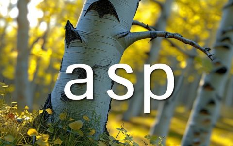 ASP如何实现数据显示？