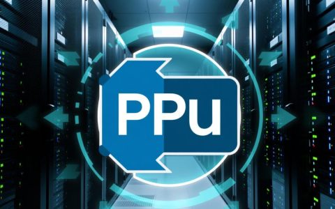 php数据库备份有哪些详细步骤和工具推荐？