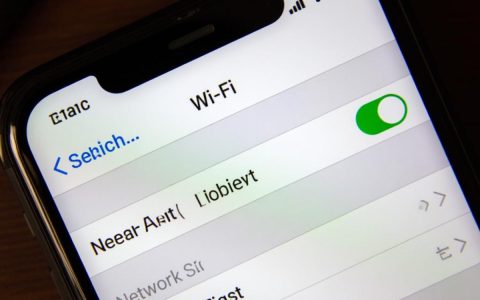 iPhone无法载入网络列表怎么办？修复方法有哪些？