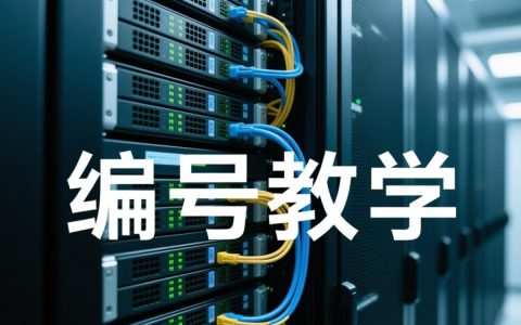 服务器编号教学
