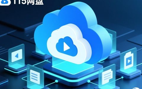 115网盘无法播放视频