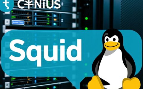 centos squid高匿代理如何配置与测试？