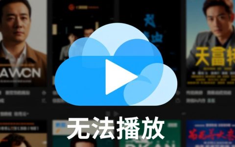 网盘里的视频无法播放怎么办？解决方法在这里！