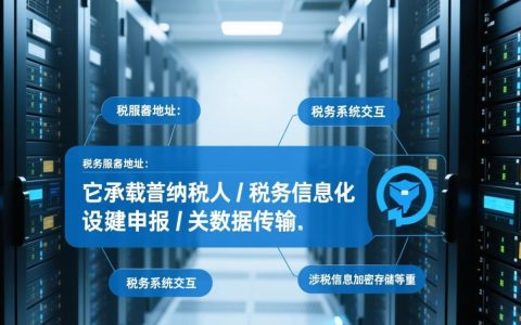 扣税服务器地址是什么？如何查询正确的官方地址？