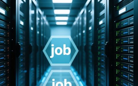 如何查看job数据库的详细步骤和权限设置？