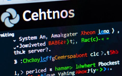CentOS终端如何配置上网？详细步骤是什么？