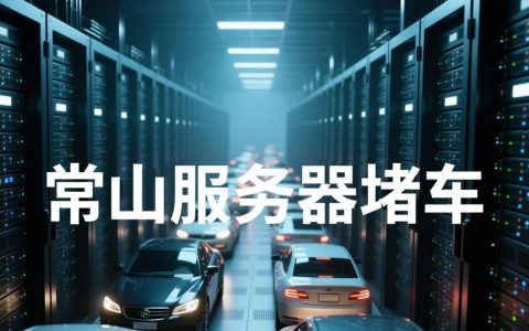 常山服务器堵车怎么办？如何快速解决网络拥堵问题？