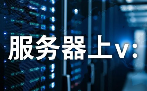服务器上v是什么意思？有什么用途和操作方法？